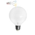 LAMPADA GLOBO 24W BNC
