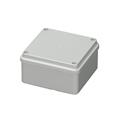 CASSETTA IP56 P. LISCE COP.VITE 100X100X50