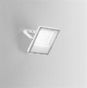 PROIETTORE LED 50W CCT SILVER IP65