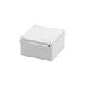CASS.IP55 100X100X50 1/4G.P.L.GWT 650 C
